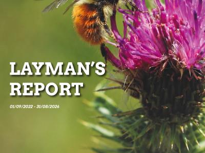 Layman's report - LIFE BEEadapt