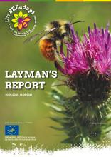 Layman's report - LIFE BEEadapt